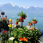 Montreux