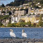 Montreux  am Genfer See