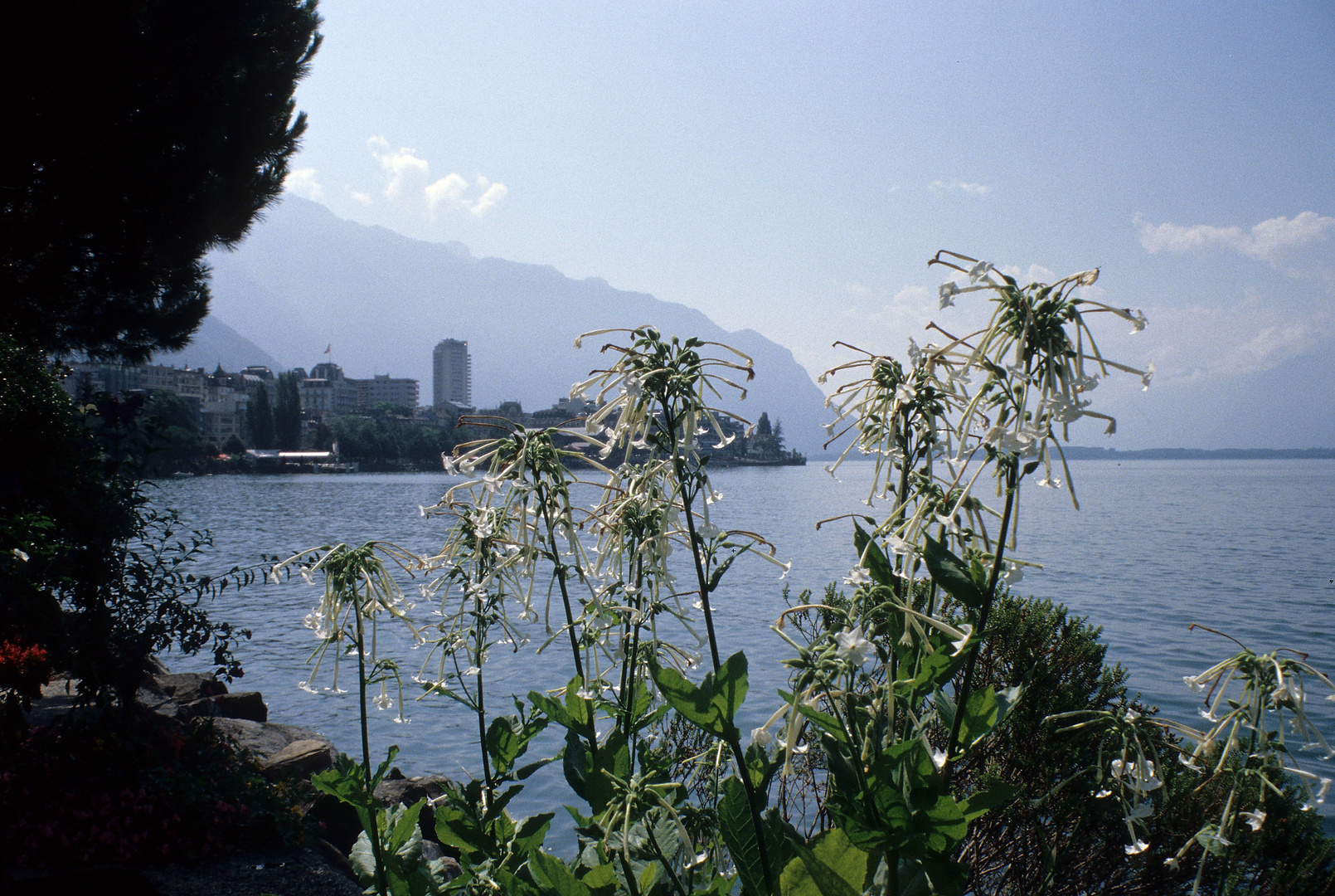 Montreux am Lac Léman