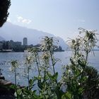 Montreux am Lac Léman