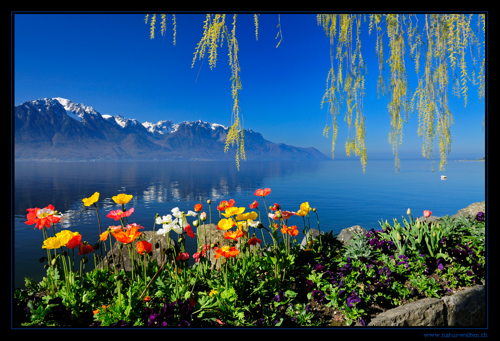 Montreux