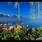 Montreux