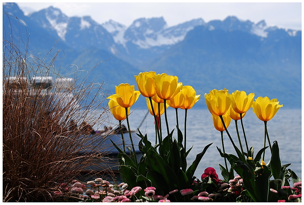 Montreux / Genfer See