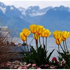 Montreux / Genfer See