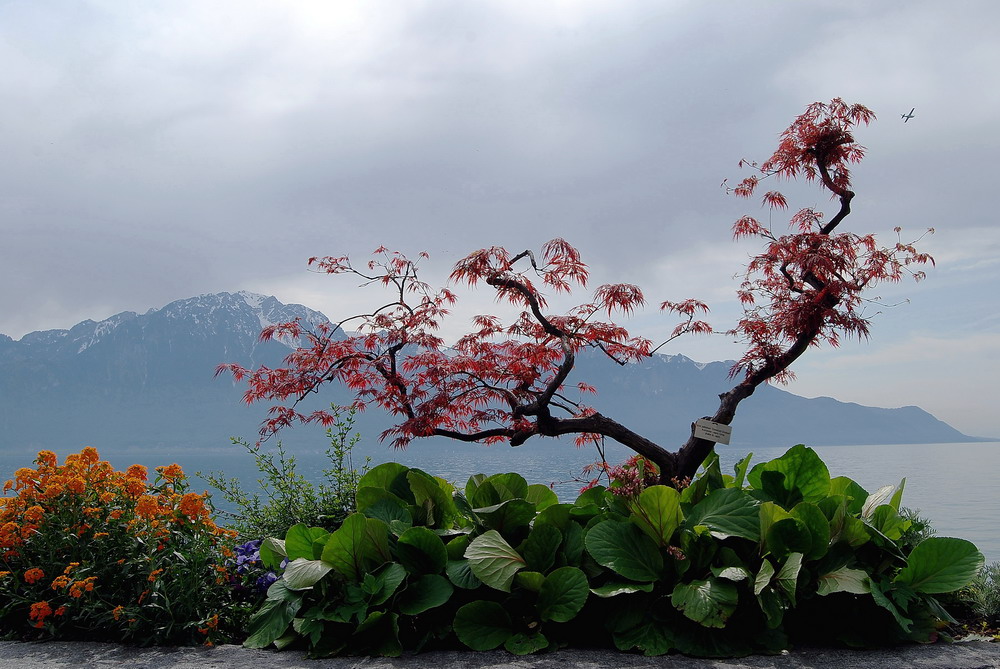 Montreux / Genfer See