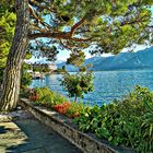 Montreux - Genfersee - Schweiz  Montreux - Lago di Genevra - Svizzera
