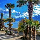 Montreux, Lac Leman