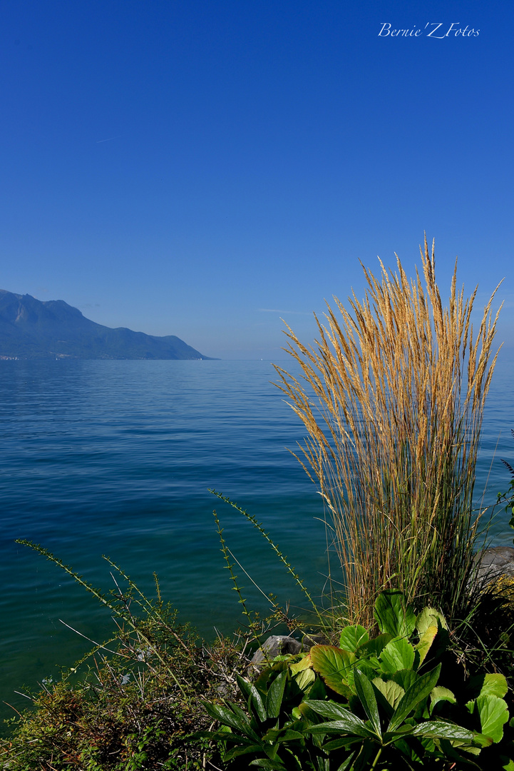 Montreux Suisse