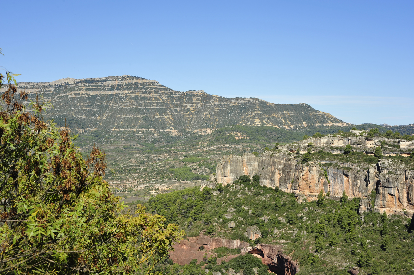 Montsant /Tarragona