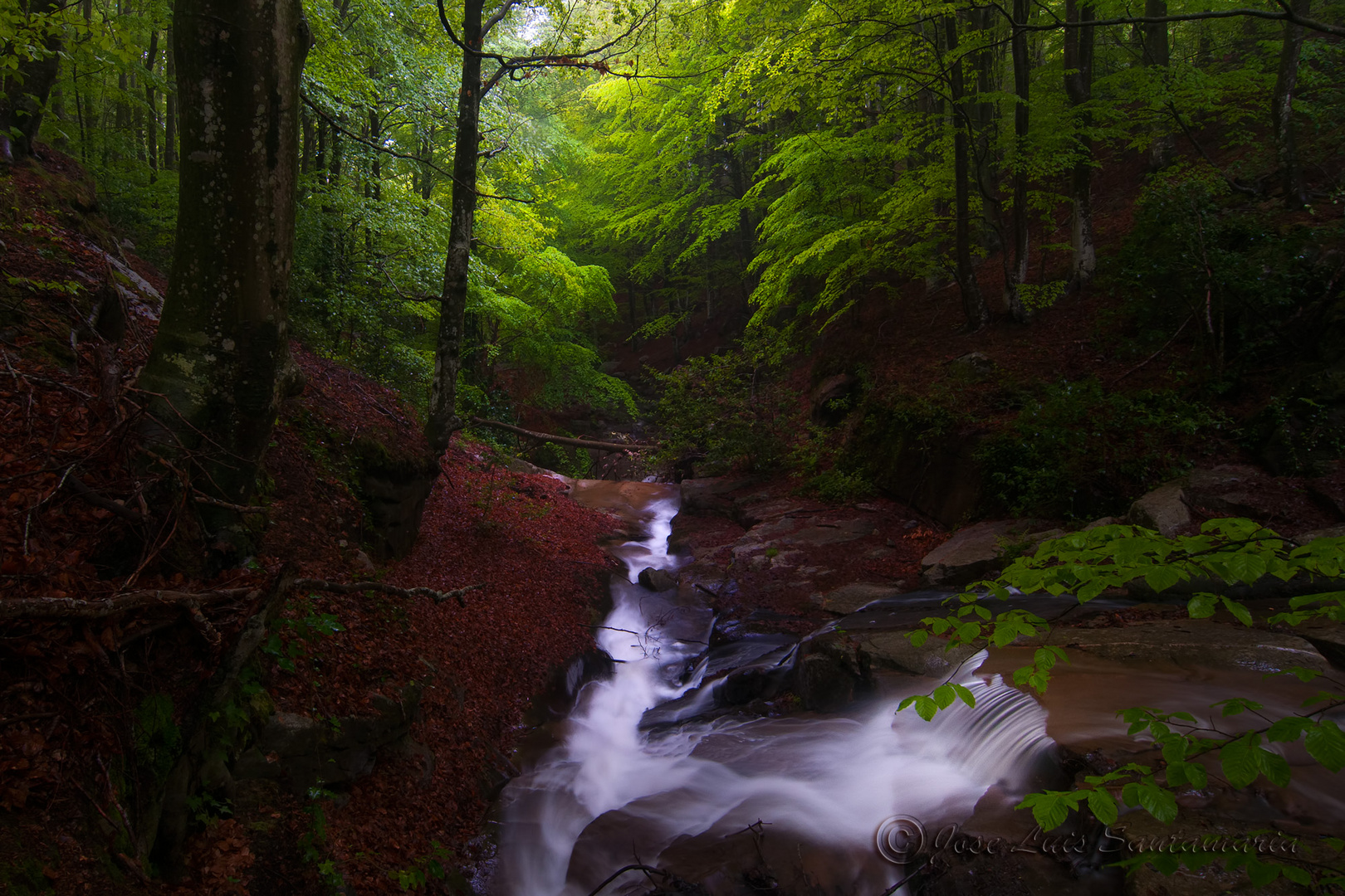 Montseny