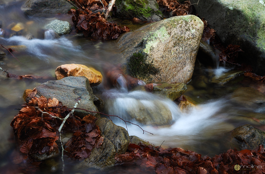 Montseny