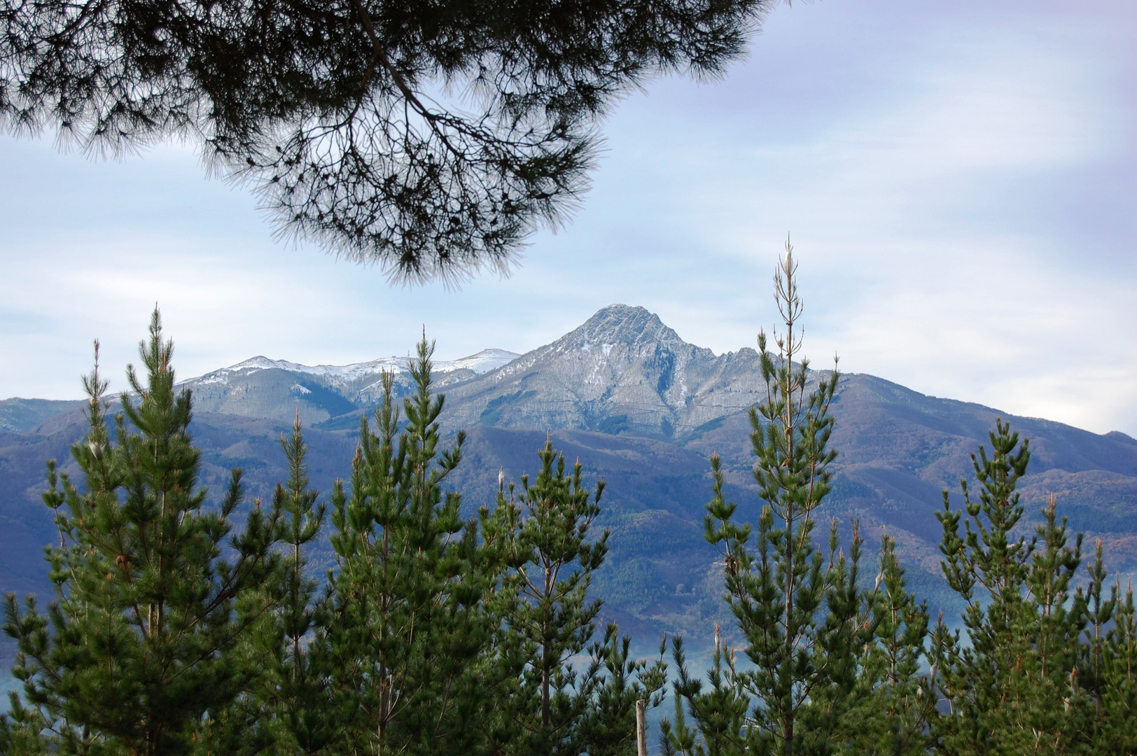 montseny