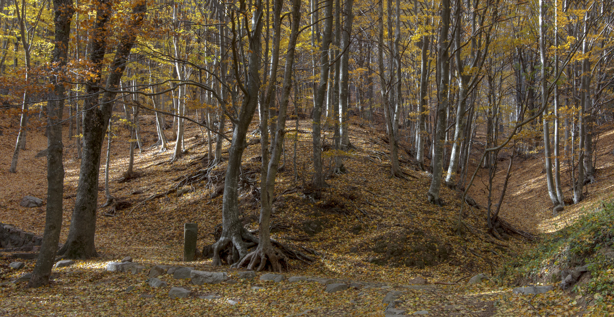 Montseny