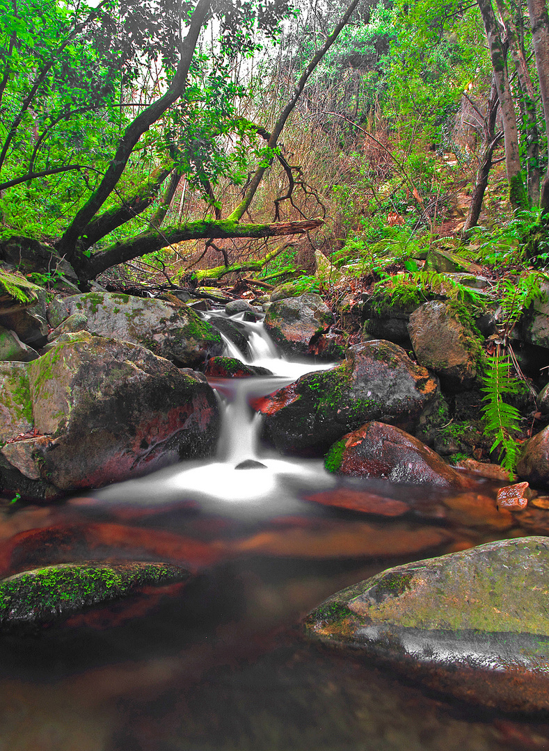 Montseny