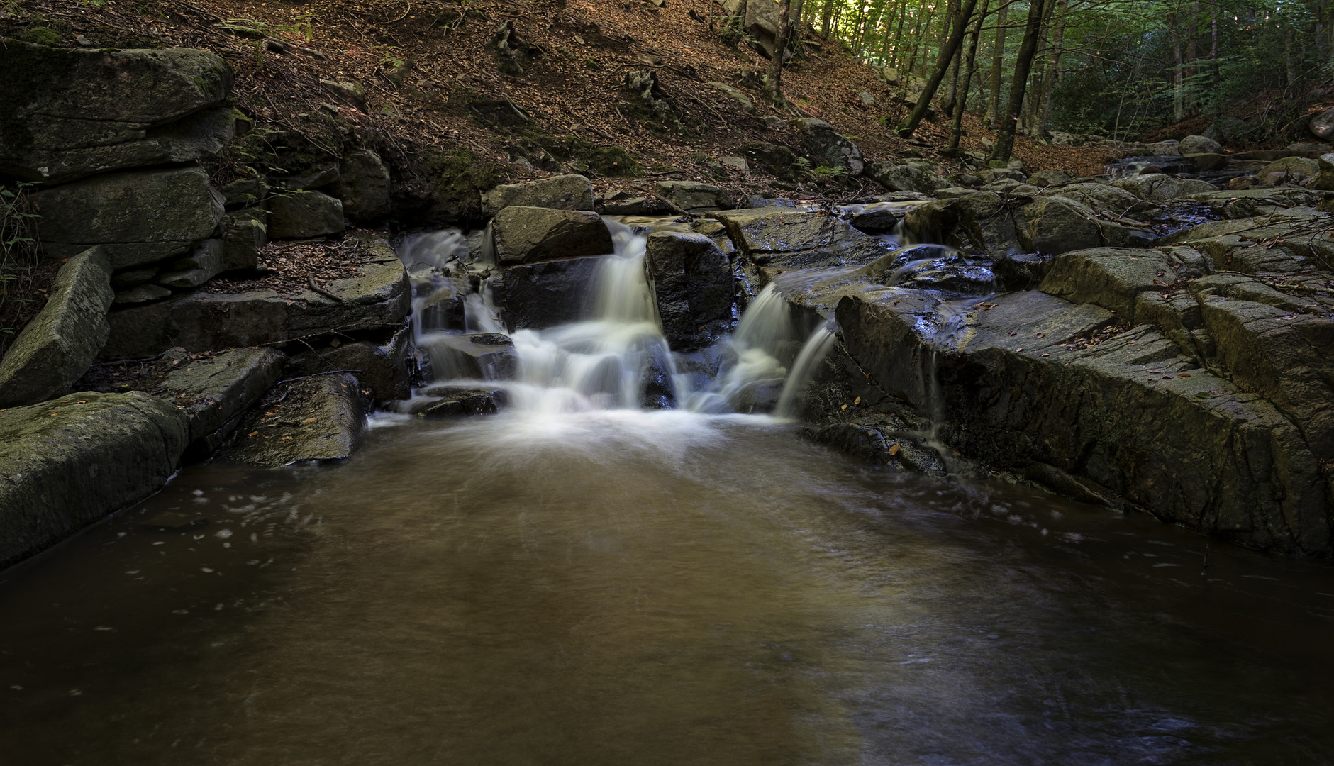 Montseny mágico...