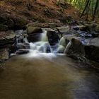 Montseny mágico...