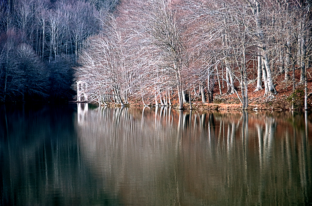 Montseny Otoño