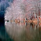 Montseny Otoño