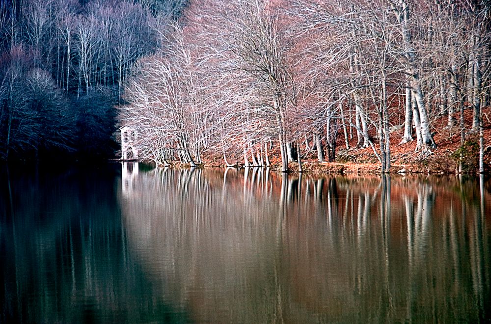 Montseny Otoño