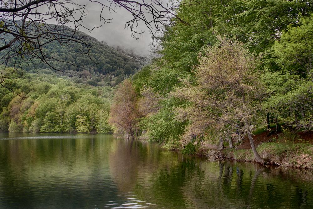 Montseny primavera 1