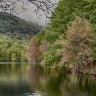 Montseny primavera 1