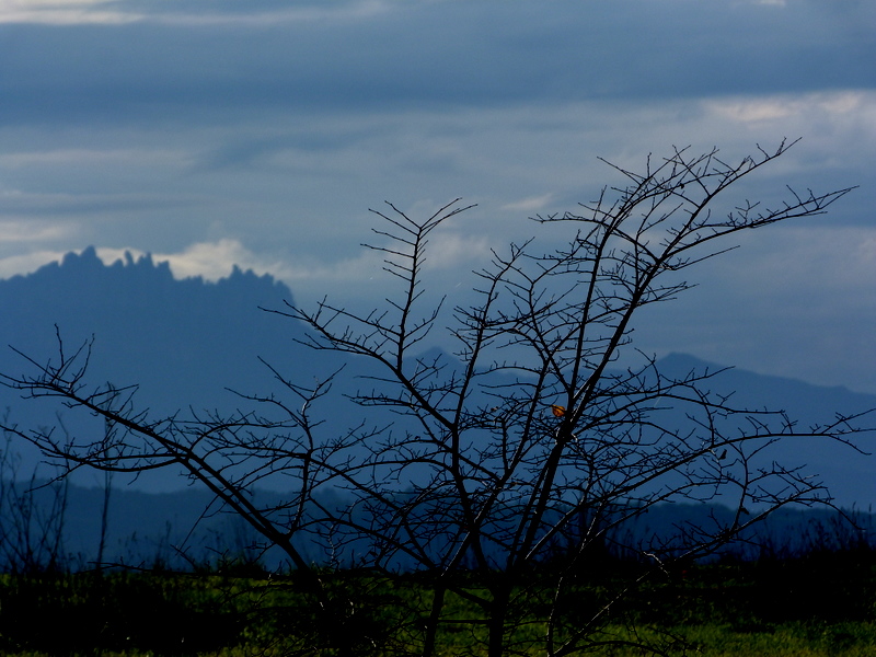 Montserrat