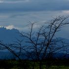 Montserrat