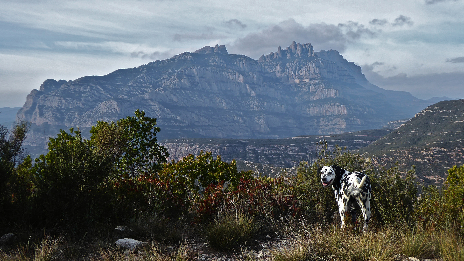 Montserrat , hoy dia de San Esteban