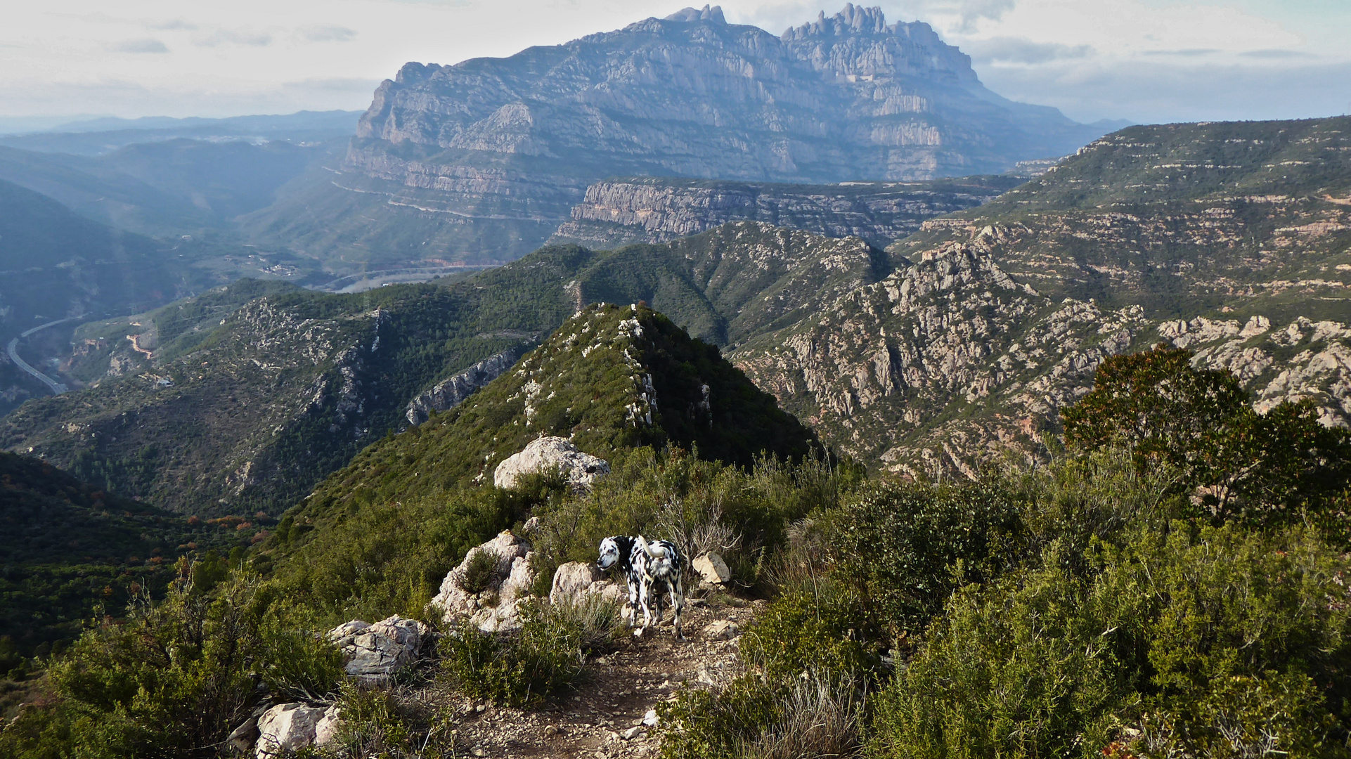 Montserrat. hoy dia de San Esteban