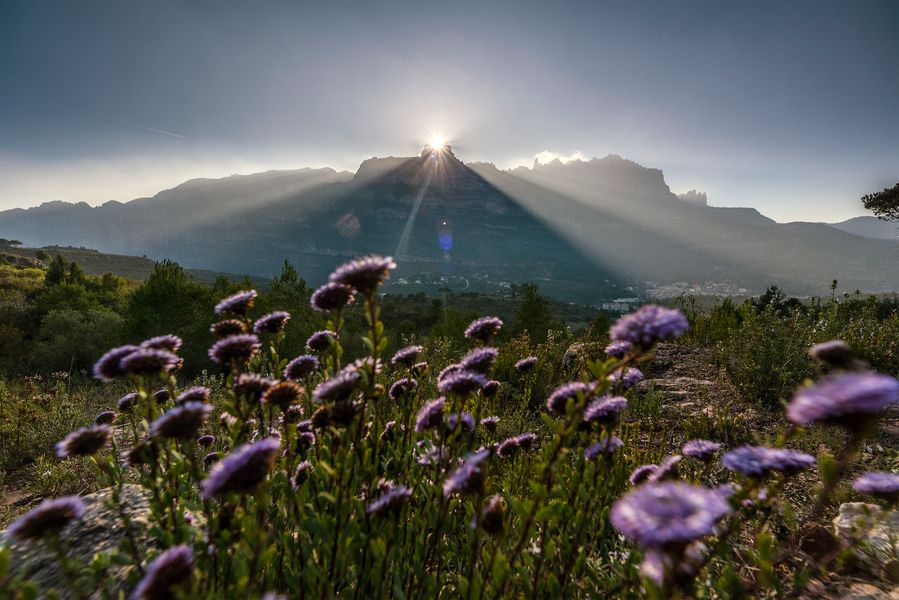 Montserrat mountain. Natural Park.