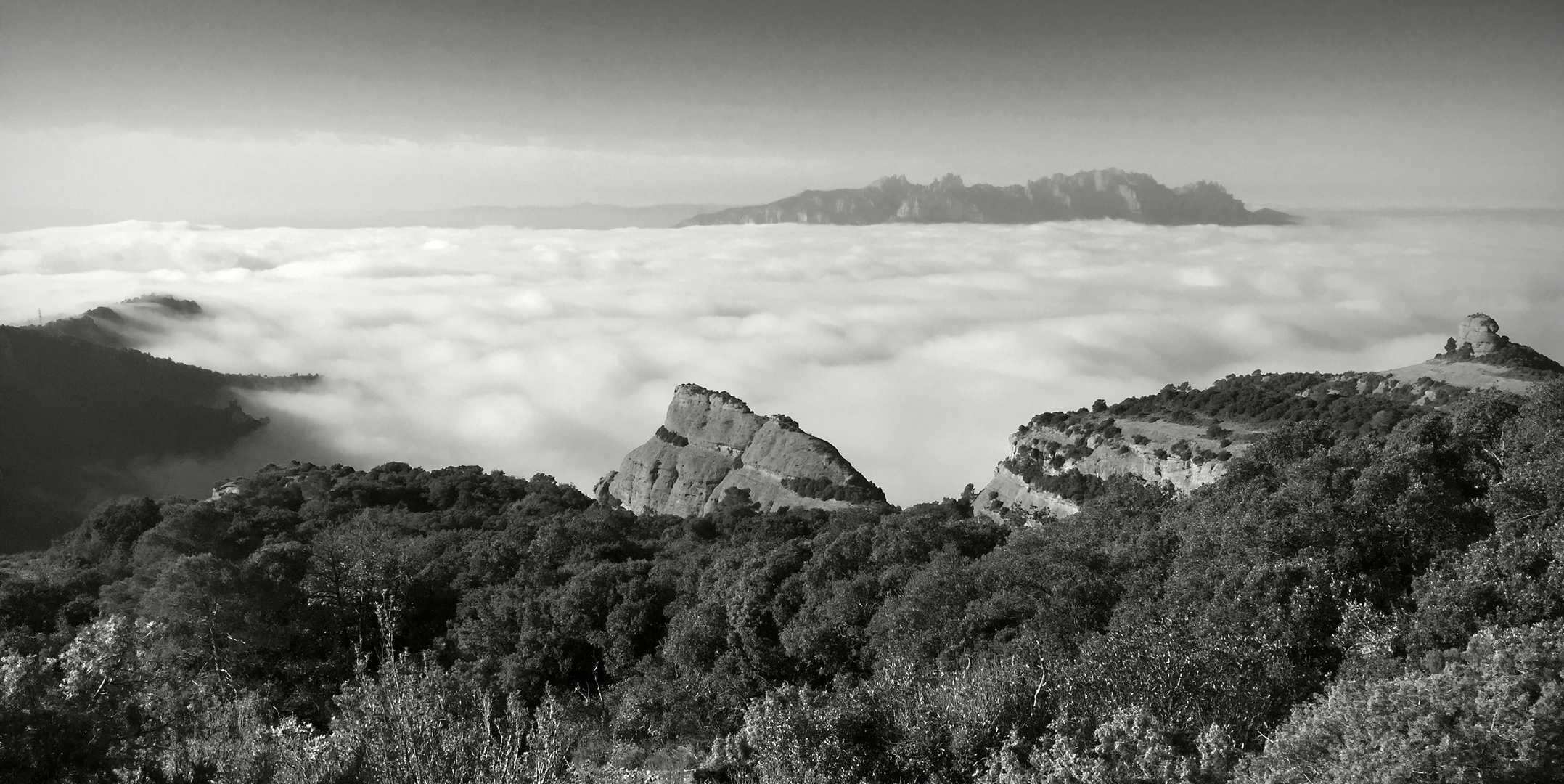 Montserrat sobre algodones