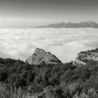 Montserrat sobre algodones