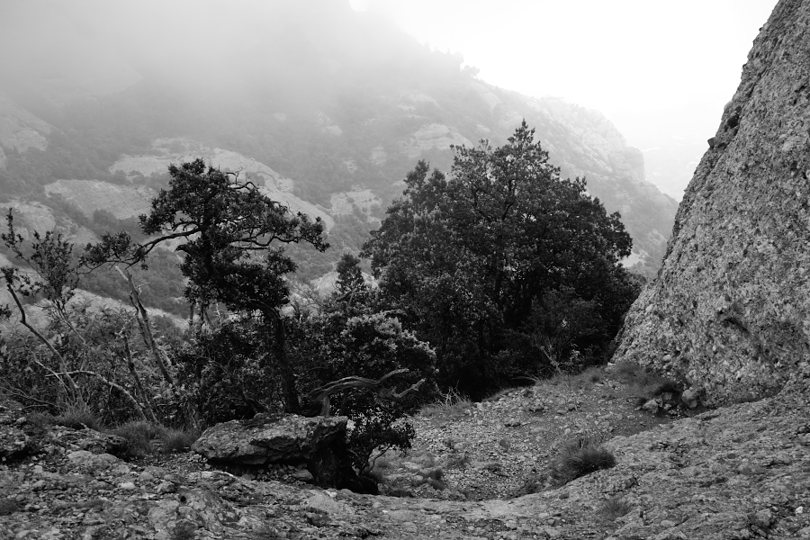 Montserrat, Spanien, 2014