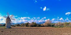 Montuïri