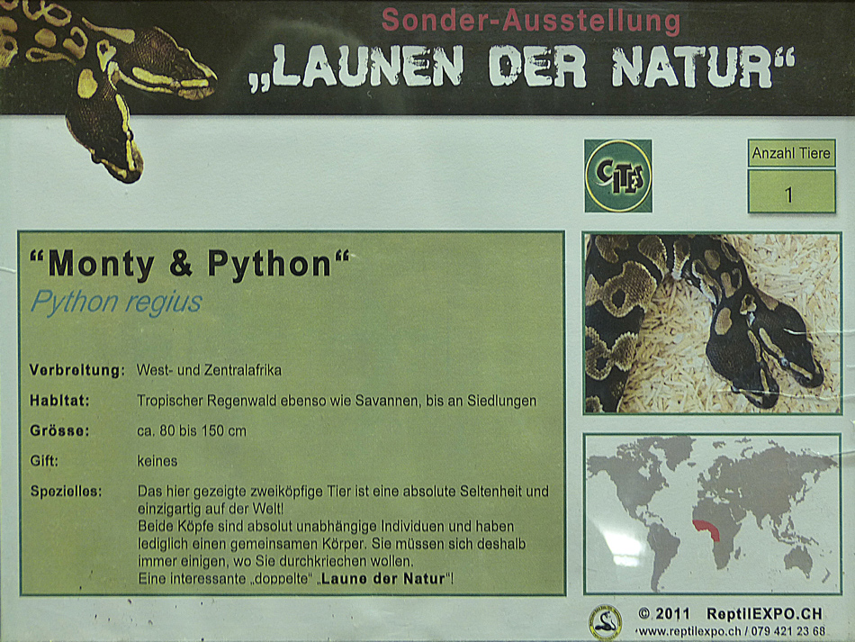 Monty und Python