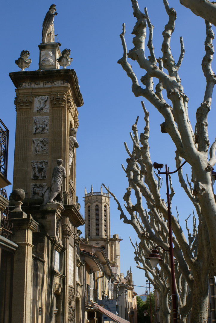 Monument & Bäume