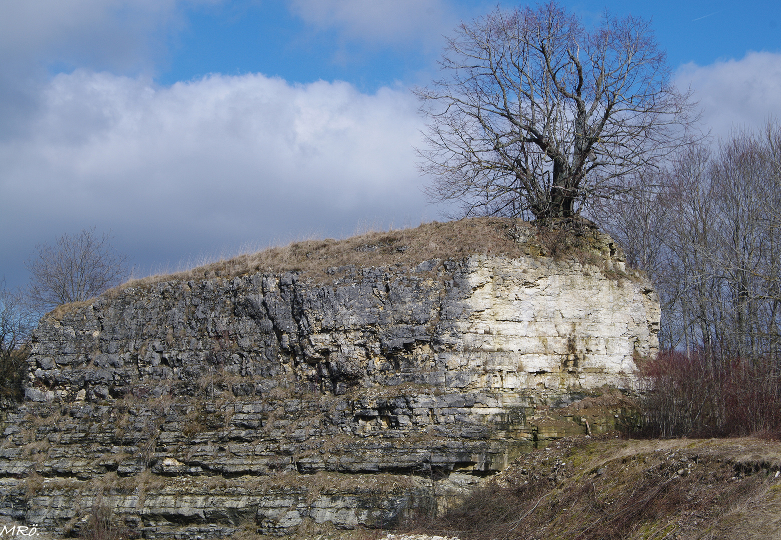 Monument der Natur