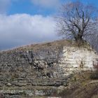 Monument der Natur