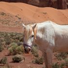 Monument "Horse" Valley