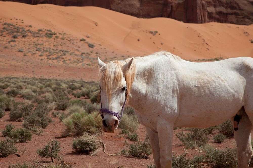 Monument "Horse" Valley