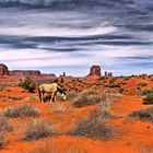 Monument Valley