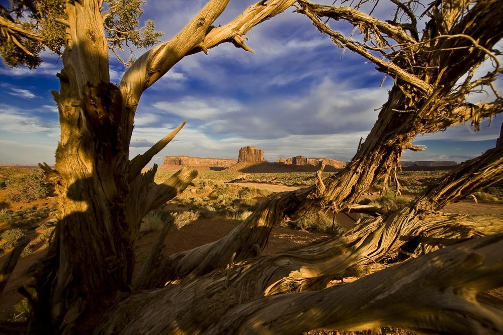 Monument Valley 1