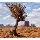 Monument Valley (2)