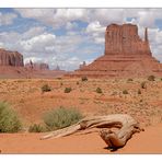 Monument Valley (3)