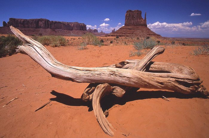 Monument Valley