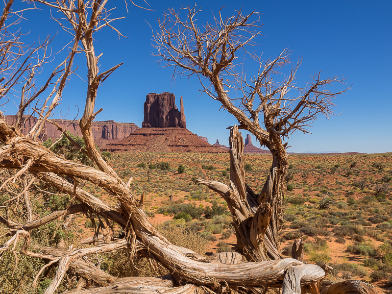 Monument Valley