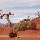 Monument Valley