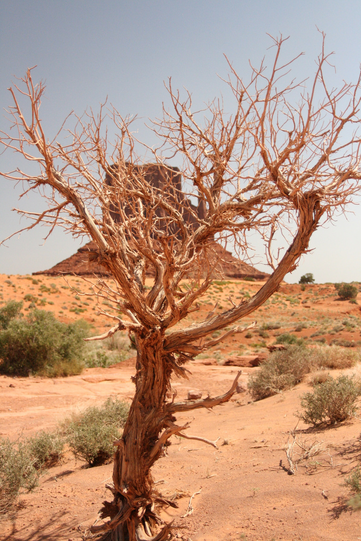 Monument Valley