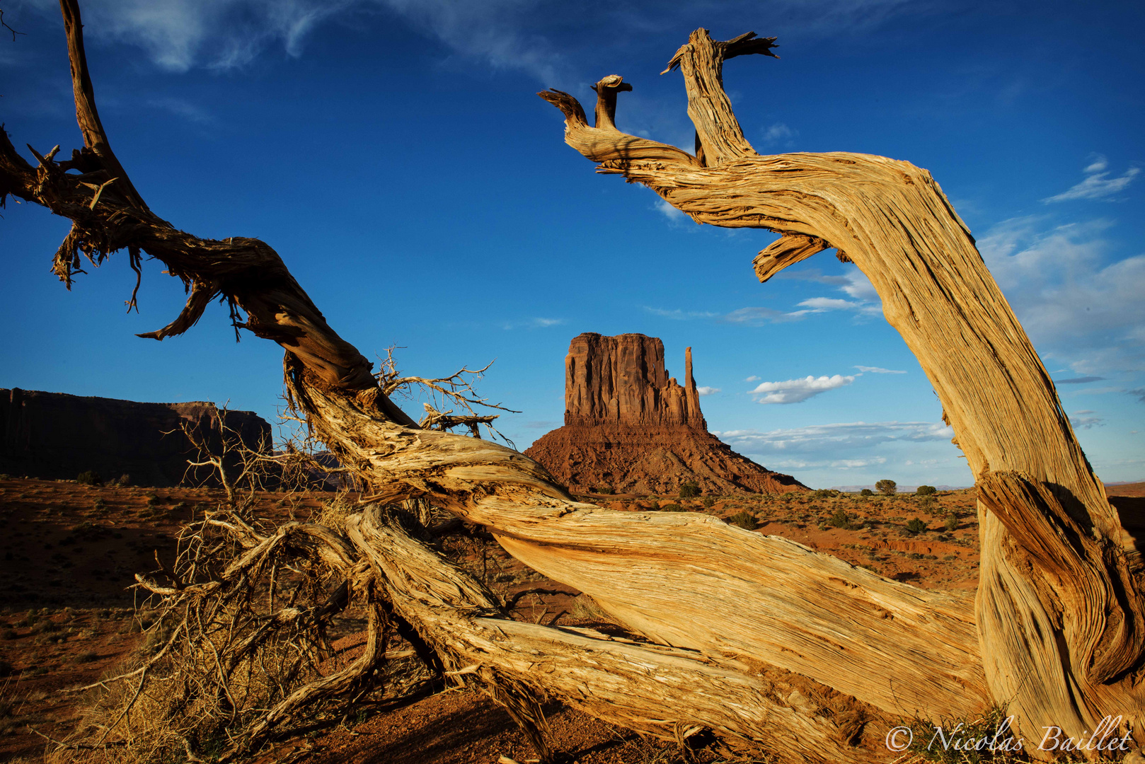 Monument Valley