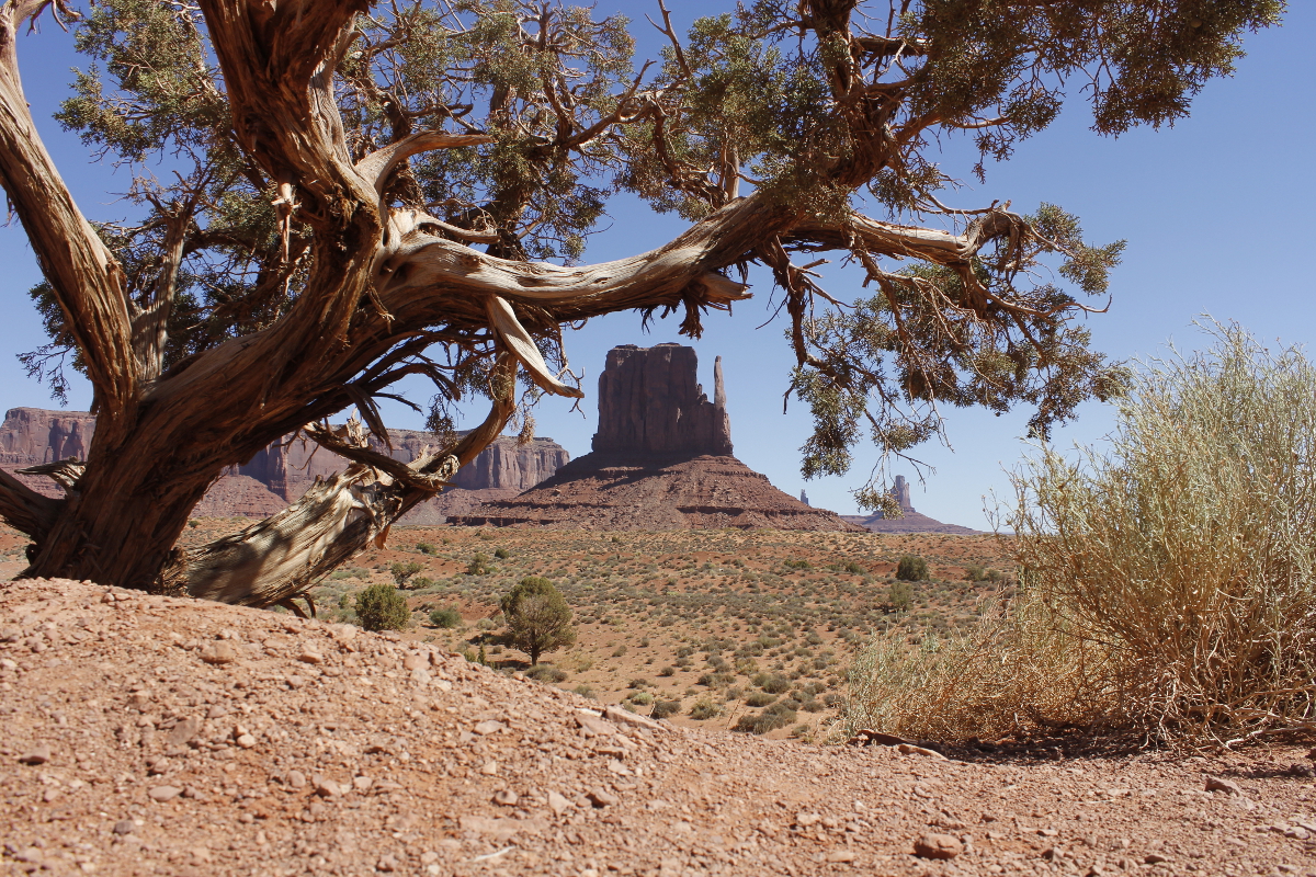 monument valley